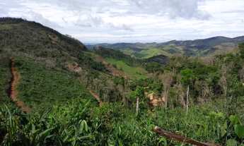 Imagem 4: Terreno 46 Hectares por R$330.000,00