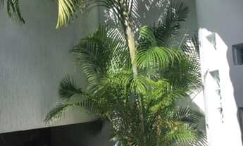 Imagem 7: CASA RESIDENCIAL em Quatis - RJ, Bomdarovsk