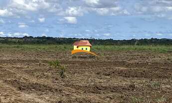 Imagem 6: Fazenda para Venda, Vale do Araguaia