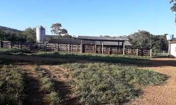 Imagem 6: Fazenda Espetacular em Buritis MG