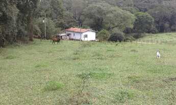 Imagem 7: Sítio 7 alqueires , eucaliptos ,pasto ,mata nativa em Atibaia SP