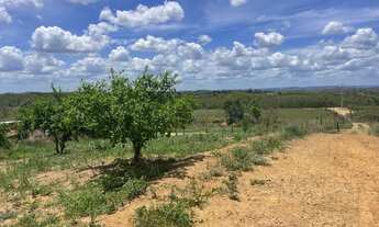 Imagem 7: Sítio perto da barragem da Cidade de carpina