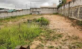Imagem 3: Terreno - Jardim São Judas Tadeu - Campinas