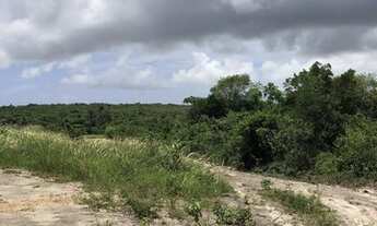 Imagem 4: Vendo terreno 1000m2 em Cabeceiras, Tibau do Sul. Aceito parcelamento