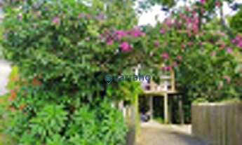 Imagem 2: Casa de alvenaria com amplo terreno com nascente de água