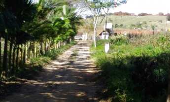 Imagem 2: Terrenos em Putim