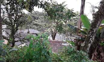 Imagem 4: FLORIANóPOLIS - Terreno Padrão - Centro