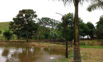 Imagem 4: Fazenda à venda próximo a Silveiras