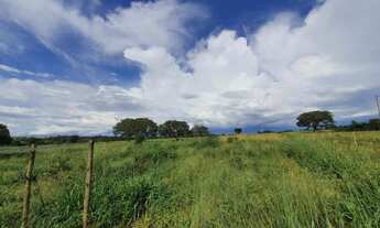 Imagem 2: Guapo - Chácara