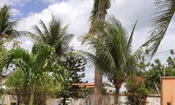 Imagem 6: Chácara para venda tem 6.516 m² , Guajiru - Caucaia - CE