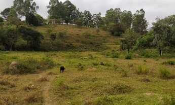 Imagem 6: Sítio Fazendinha 6 Hectares, Desterro de Entre Rios - MG