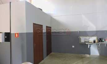 Imagem 4: Araçatuba - Galpão/Depósito/Armazém - Jussara