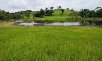 Imagem 3: Vendo fazenda em Dias Davila