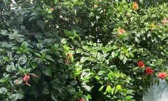 Imagem 6: Oportunidade -Casa Planalto Paulista - São Paulo, SP