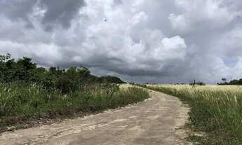 Imagem 7: Vendo terreno 1000m2 em Cabeceiras, Tibau do Sul. Aceito parcelamento