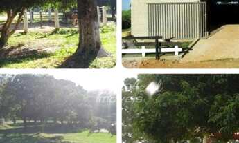 Imagem 2: Sítio - Parque Dante Marmirolli - Sumaré