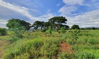 Imagem: Guapo - Chácara