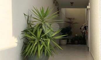 Imagem 5: São Paulo - Casa Padrão - VILA PRUDENTE