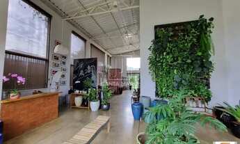 Imagem 3: Salão/Galpão (salão - térreo