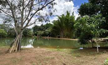 Imagem 4: Lindo sítio Alexania 16,5 hectares !!!!!!!!