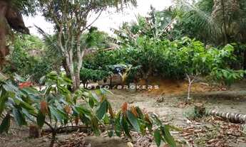 Imagem 7: SITIO RURAL em PORTO SEGURO - BA, zona rural