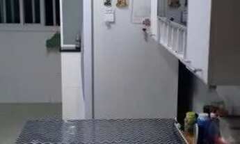 Imagem 6: Lindo 3 quartos em Itapuã - Ed. Gilia Borgo Cód: 23419 R