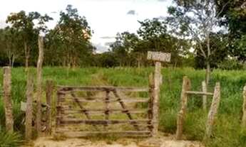 Imagem: Chácara Fazenda em Formosa GO 36 hectares