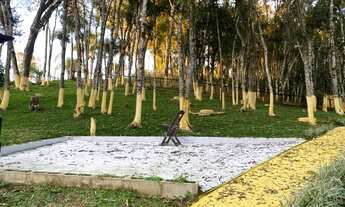 Imagem 3: Chácara formada Campo largo - bateias