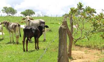 Imagem: Fazenda Rica em agua 80 Mil por Alqueire