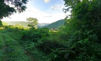 Imagem 4: Sítio no bairro 2a Légua em Caxias do Sul!