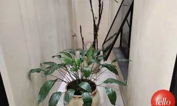 Imagem 6: São Paulo - Prédio Inteiro - Penha