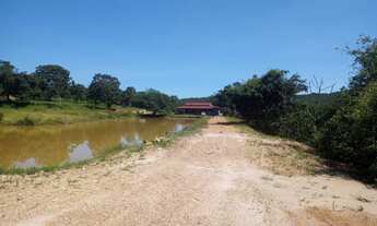 Imagem 3: Fazenda 10 Alqueires Prontinha para Uso