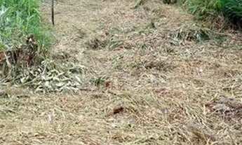 Imagem 4: Vendo ou troco Terreno / lote com venda por R$30.000