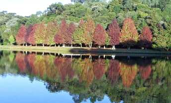 Imagem 5: Terreno no Loteamento Colinas de São Francisco em São Francisco de Paula!