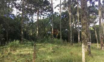 Imagem: Terreno no bairro Caracol em Canela!