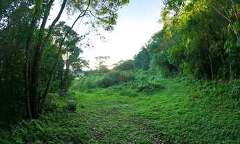 Imagem 2: Sítio no bairro 2a Légua em Caxias do Sul!