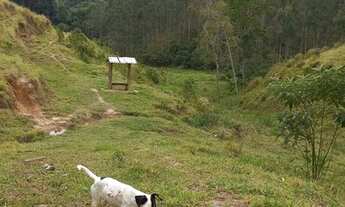 Imagem 6: RIO BONITO PROPRIEDADE 14 ALQUEIRES NA PASTAGEME RICA DE AGUA