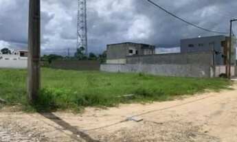 Imagem 6: Terreno em rua pública