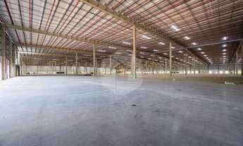 Imagem 5: GALPÃO MONOUSUÁRIO PARA LOCAÇÃO