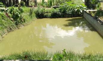 Imagem 4: Sítio no Sul de Minas Gerais