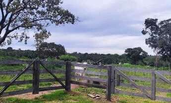 Imagem 7: Fazenda 38 Alqueires Vale do Araguaia