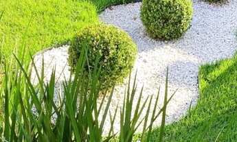 Imagem 3: Repasse para autonômos e negativados!