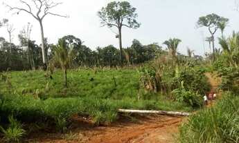 Imagem: Fazenda realidade am