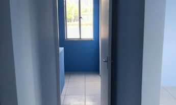 Imagem 4: Leo vende, Volare, perto da Fraga Maia, 3