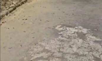 Imagem 3: Sítio 20.000 m² em Sabará