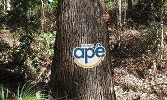 Imagem 4: Terreno à venda, 340000 m² por R$ 5.000.000,00 - Alto Castelinho - Vargem Alta/ES