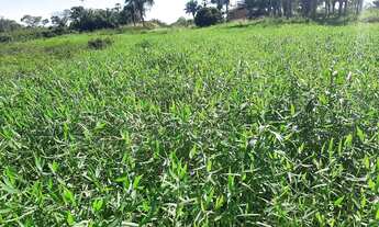 Imagem 3: Fazenda/Sítio/Chácara para venda tem 17000000 metros quadrados