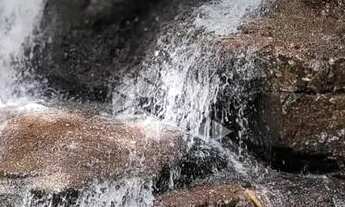 Imagem 2: Área de terras com 5,7 hectares com cachoeiras na serra gaúcha