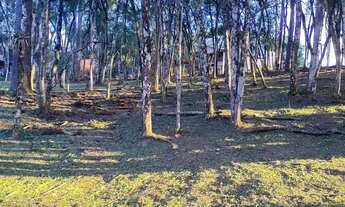 Imagem 5: Terreno Urbano para Venda em Quatro Barras, Centro