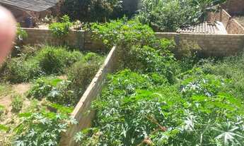 Imagem 6: Casa a venda no bairro Lima Dias!